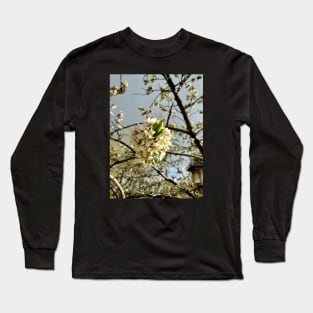 Plum Blossoms Long Sleeve T-Shirt